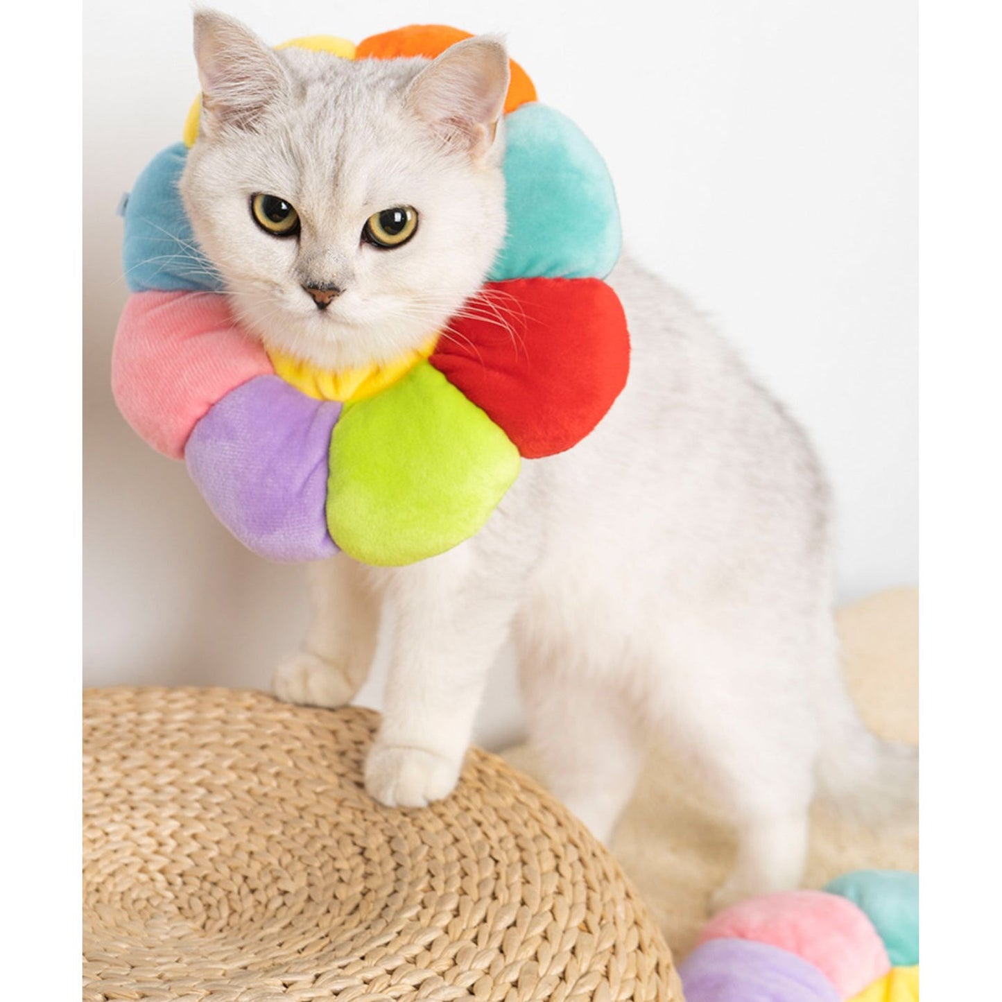 Flower Pet Recovery Collar