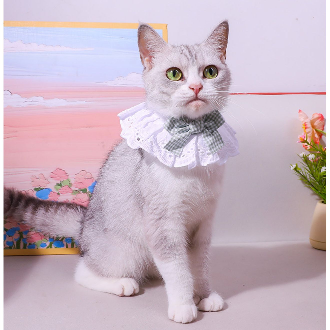 Cute Colorful Cat Bib