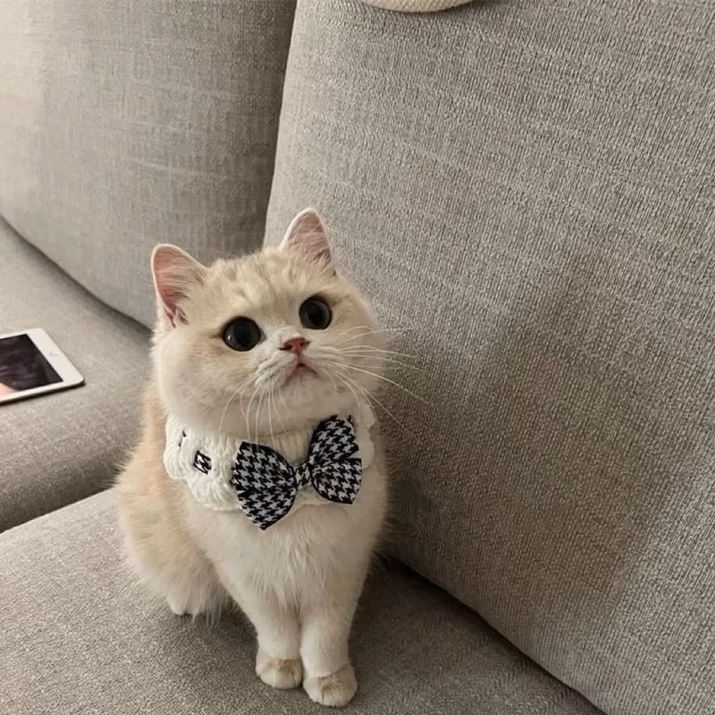 Cute Colorful Cat Bib