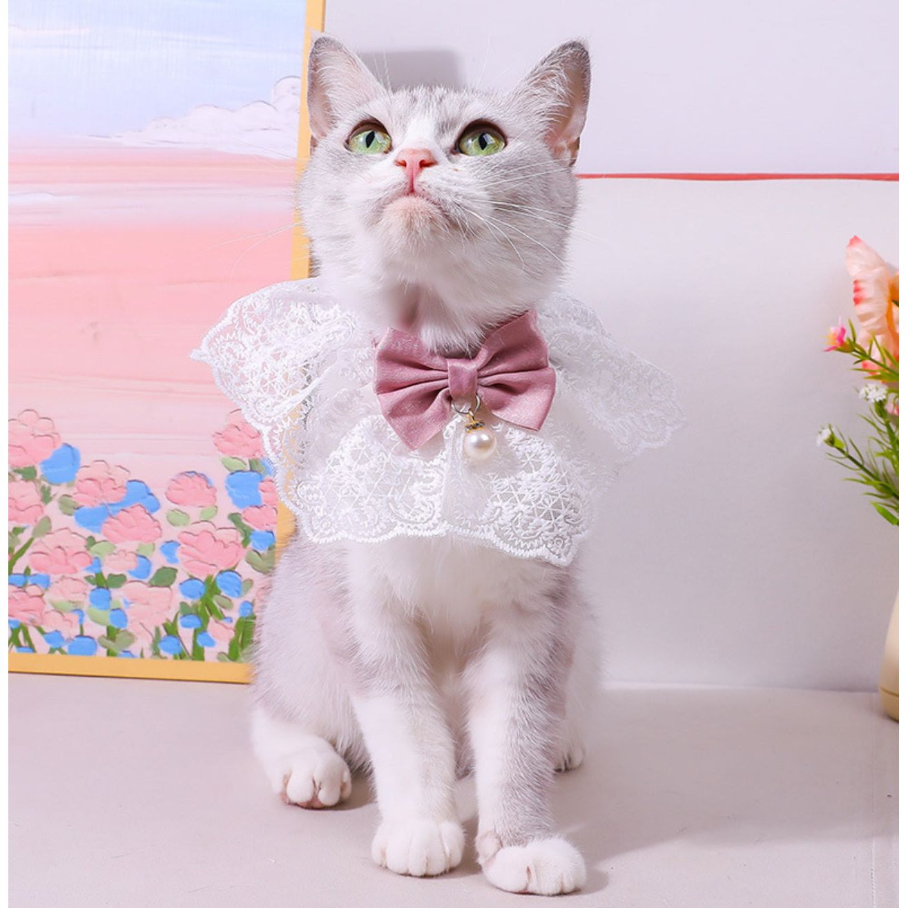 Cute Colorful Cat Bib