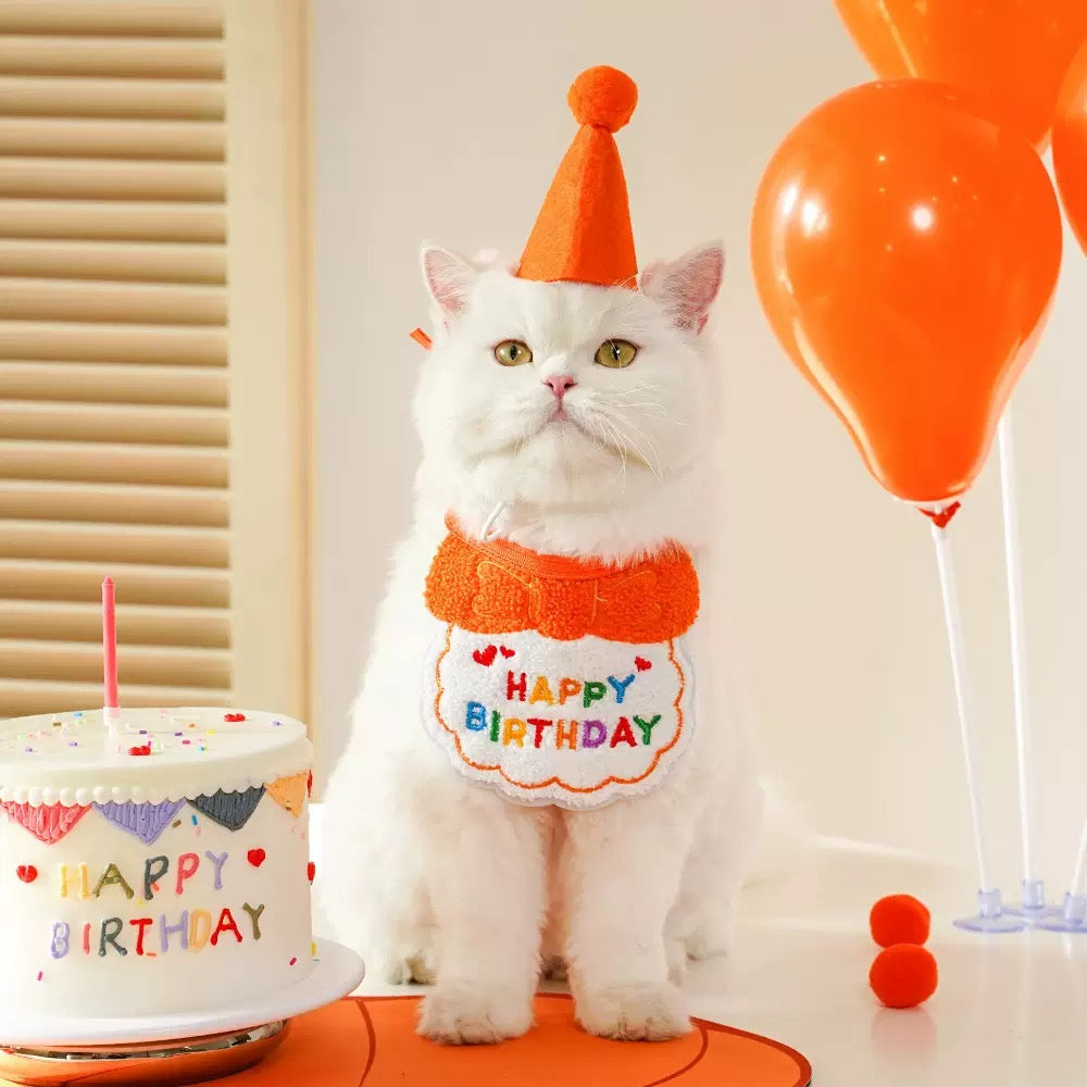 Birthday Set For Pets (Bib+Hat)
