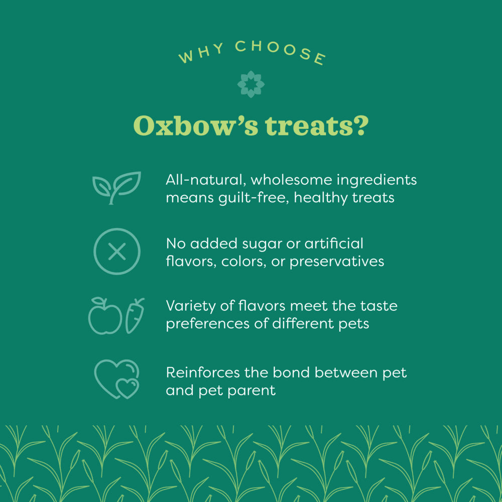 Oxbow Simple Rewards Baked Treats with Apple & Banana