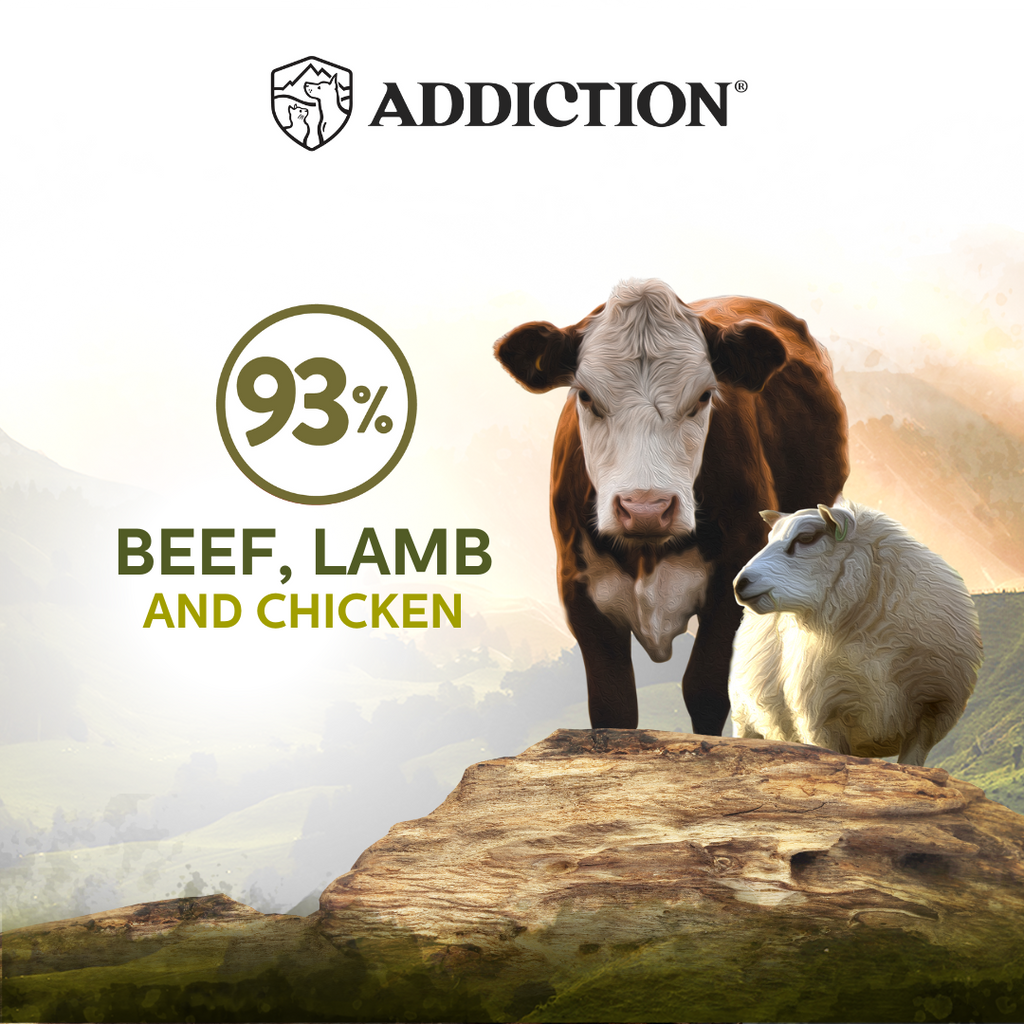 Addiction Cat Wet Food Wild Islands Highlands Meat Lamb And Beef
