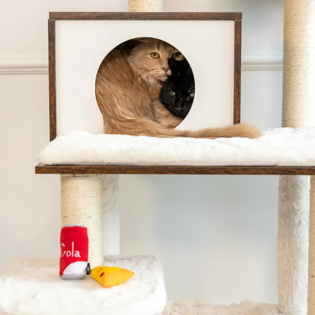 ZippyClaws® Cat Toy NomNomz® – PIZZA AND COLA