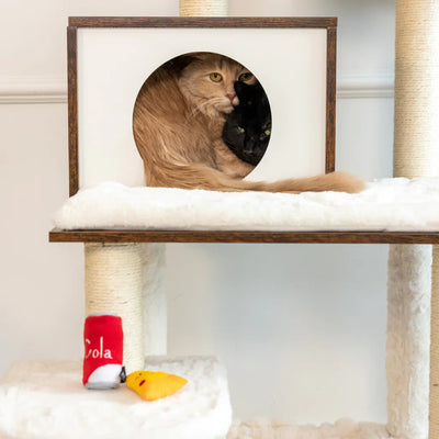 ZippyClaws® Cat Toy NomNomz® – PIZZA AND COLA