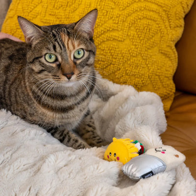 ZippyClaws® Cat Toy NomNomz® – Taco and Burrito