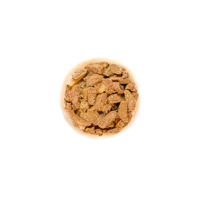 ROYAL CANIN Ageing 11+ Chunks in Jelly Wet Cat Food 85g x 12