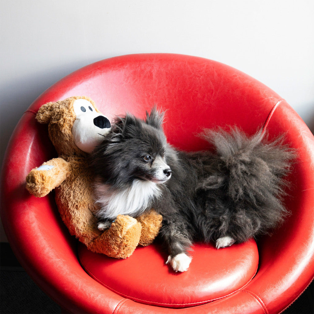 KONG Squeaky Plush Dog Toy Wild Knots Bear Jumbo XLarge