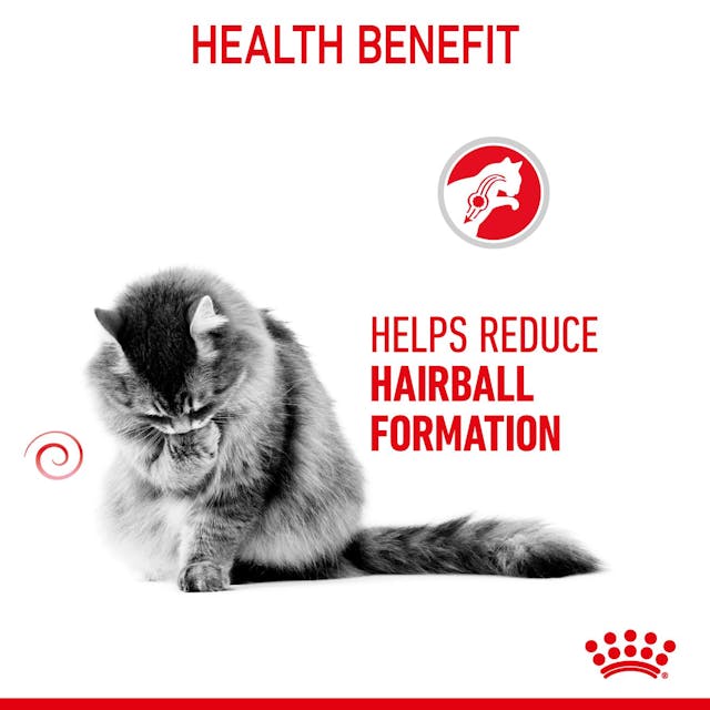 ROYAL CANIN Hairball Care Gravy Adult Wet Cat Food 85g x 12