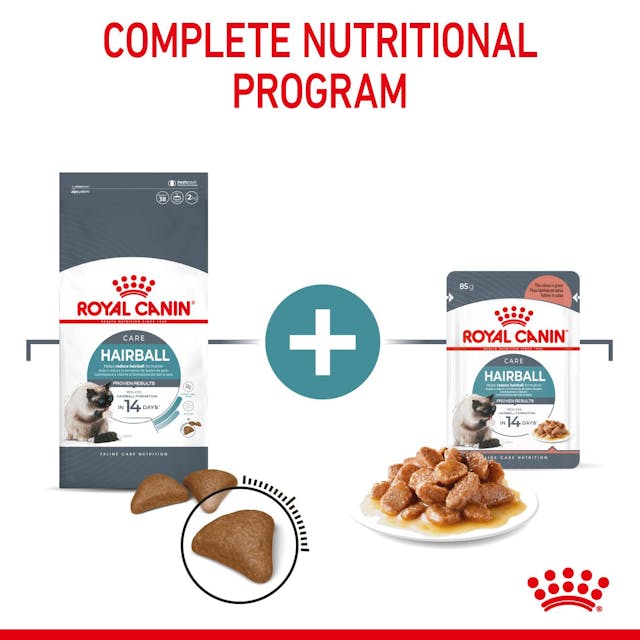 ROYAL CANIN Hairball Care Adult Dry Cat Food
