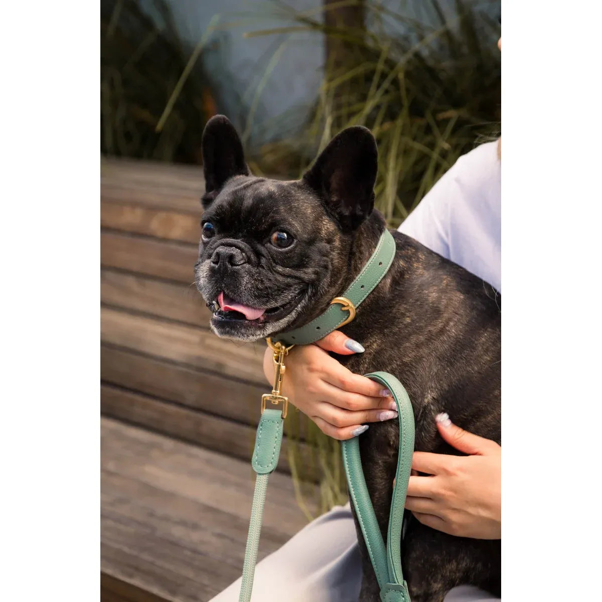 FuzzYard Life Atelier Dog Rope Lead - Myrtle Green