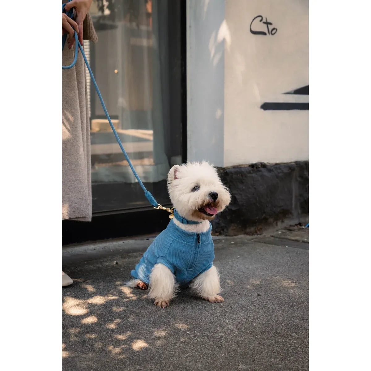 FuzzYard Life Atelier Dog Collar - French Blue