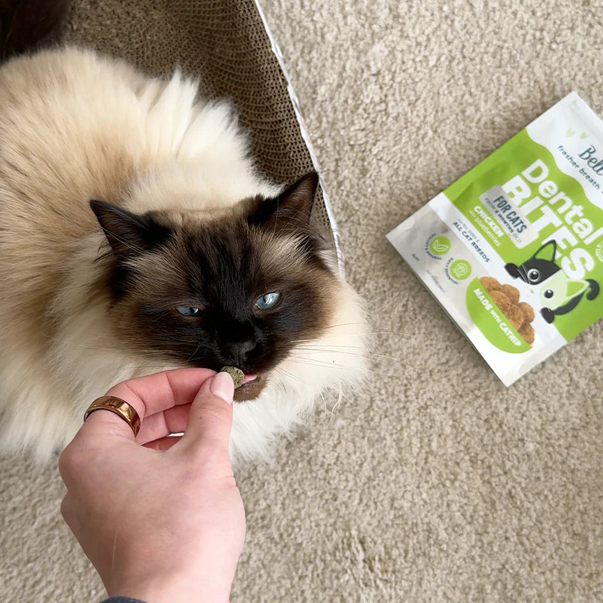 Bell and Bone Adult Cat Dental Bites - Chicken with Blueberry 80g