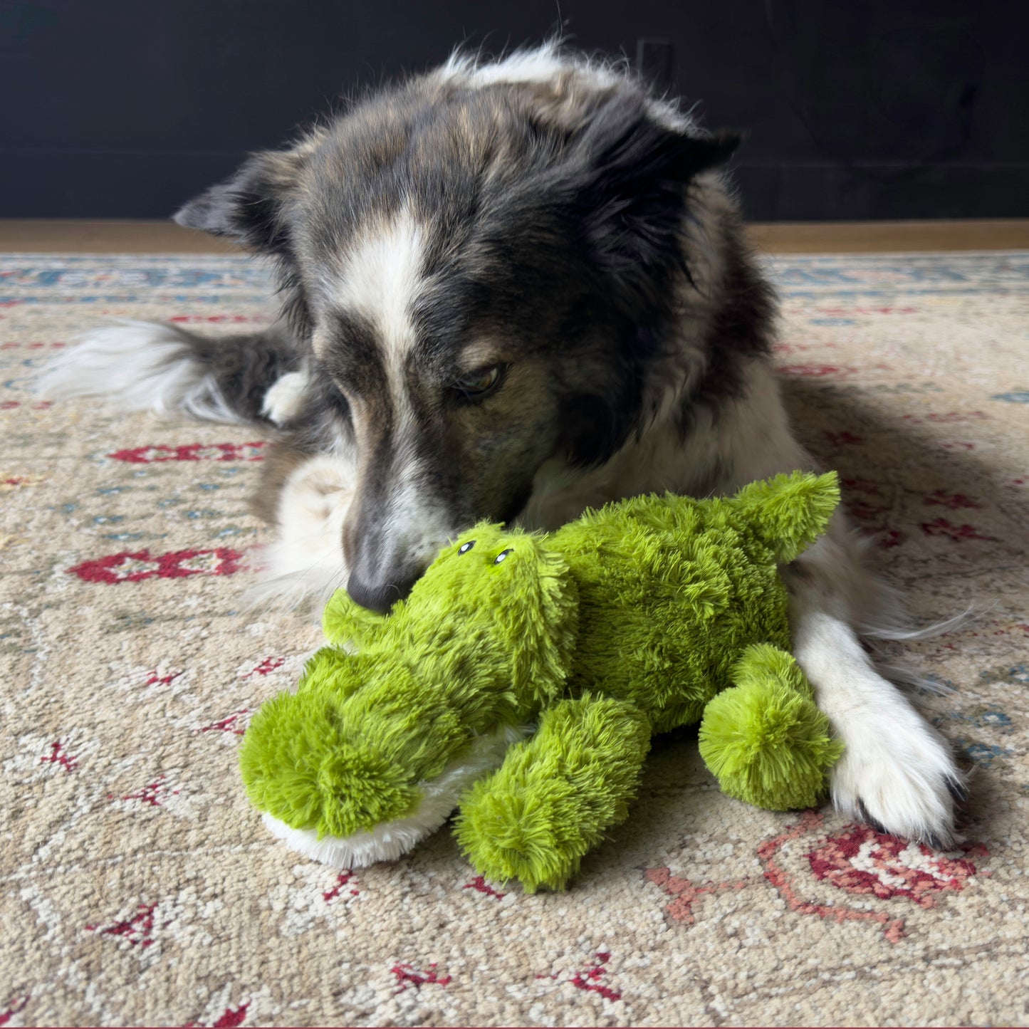 KONG Plush Dog Toy Cozie Ali Alligator