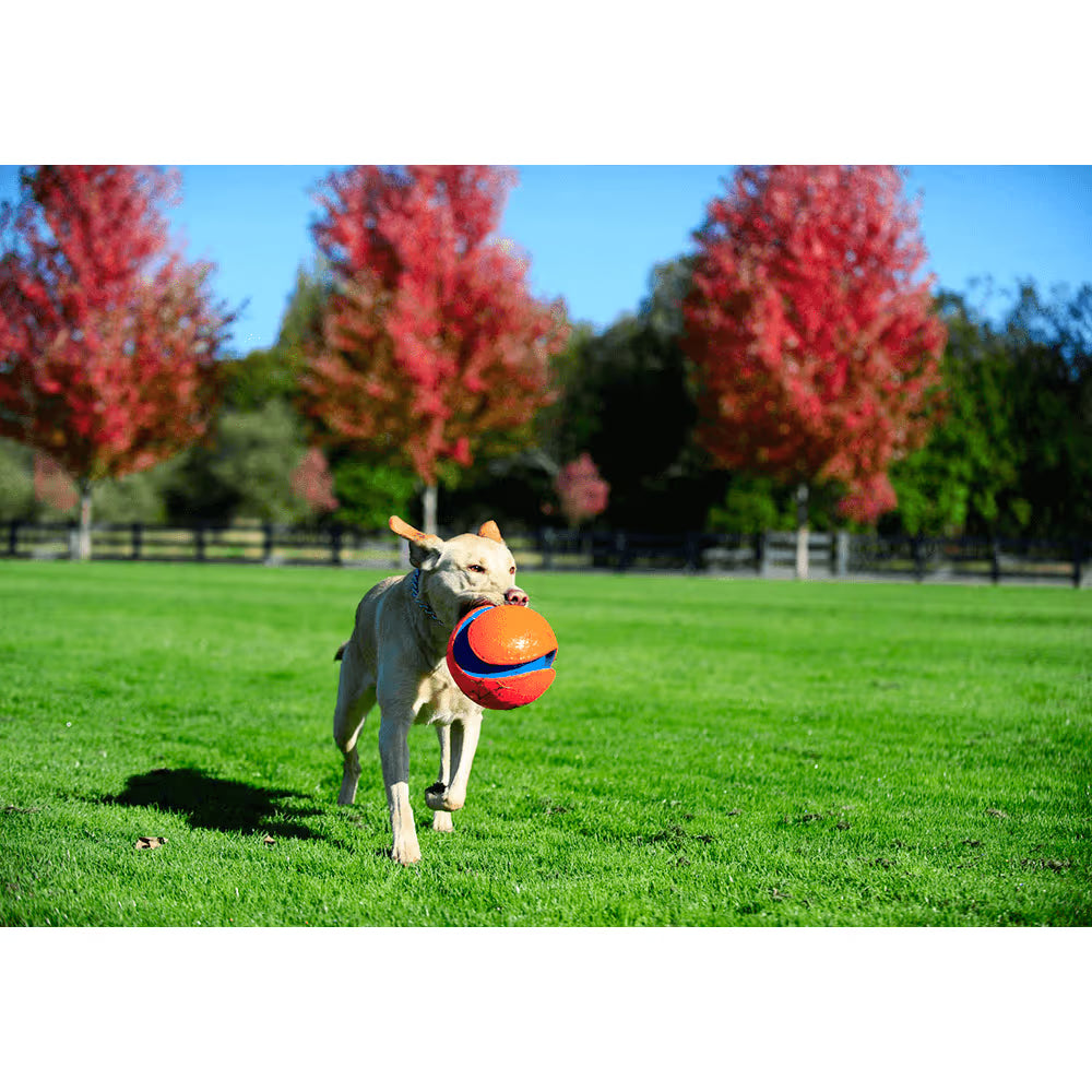 Chuckit! Dog Toy Kick Fetch Large