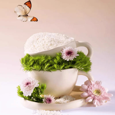 Xu Cuihua Cat Litter - Plant Natural Green Tea 2.5kg