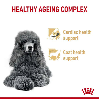 ROYAL CANIN Poodle Adult 8+ Dry Dog Food 1.5kg