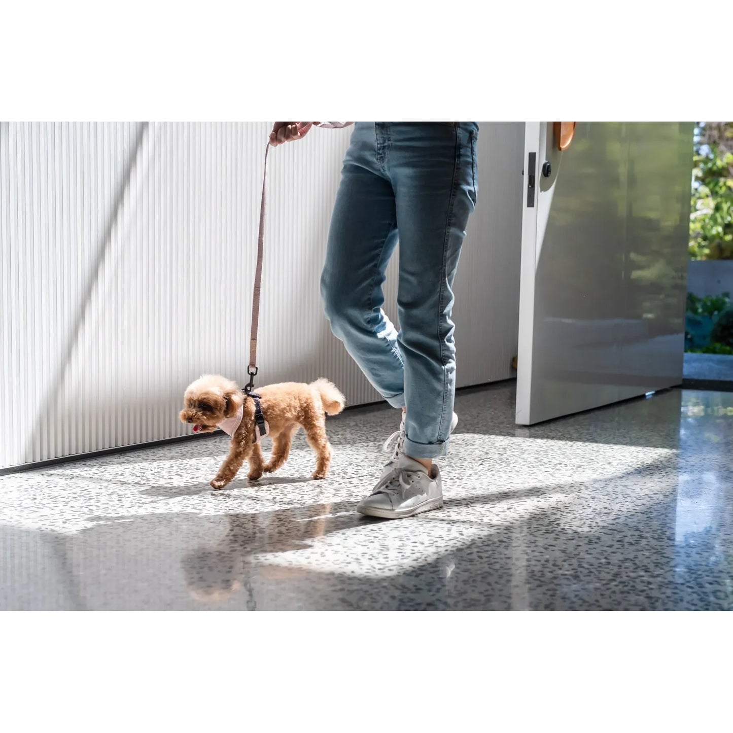 FuzzYard Life Dog Harness - Soft Blush