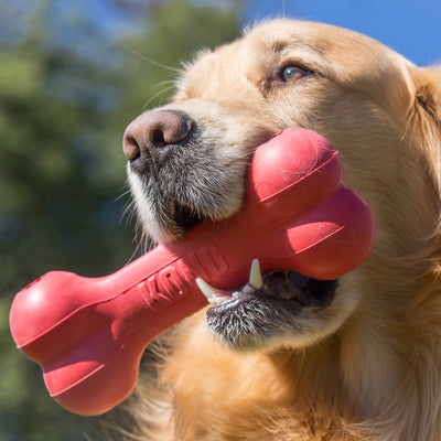 KONG Dog Toy Holiday Goodie Bone Medium