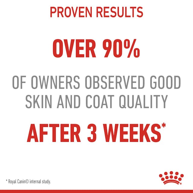 ROYAL CANIN Hair & Skin Care Jelly Adult Wet Cat Food 85g x 12