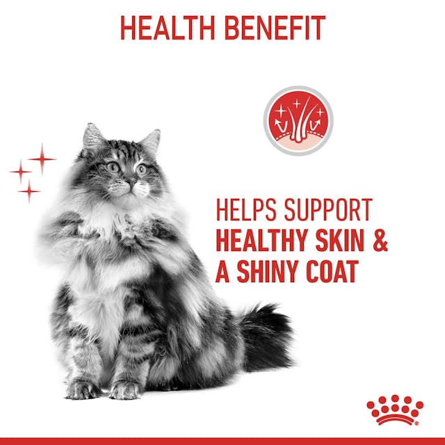 ROYAL CANIN Hair & Skin Care Jelly Adult Wet Cat Food 85g x 12