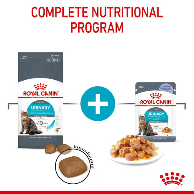 ROYAL CANIN Urinary Care Jelly Wet Cat Food 85g x 12
