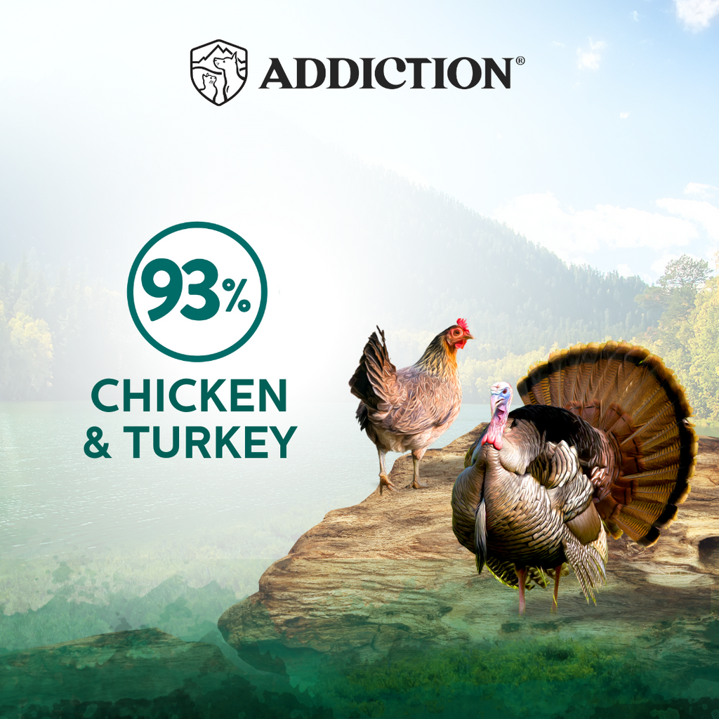 Addiction Cat Wet Food Wild Islands Island Birds Chicken & Turkey