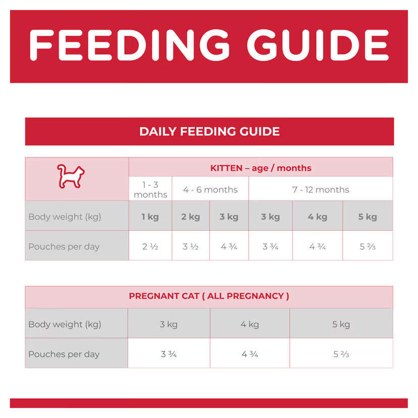 Hill's Science Diet Kitten Cat Wet Food Ocean Fish 85g X 12