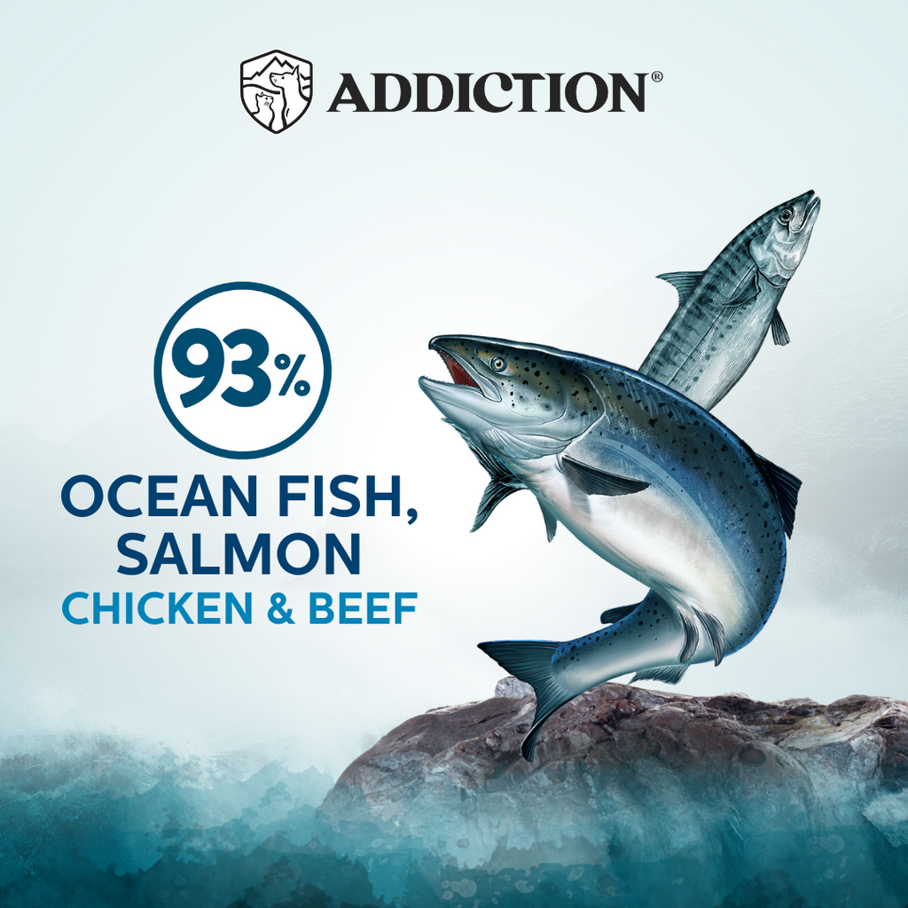 Addiction Cat Wet Food Wild Islands Pacific Catch