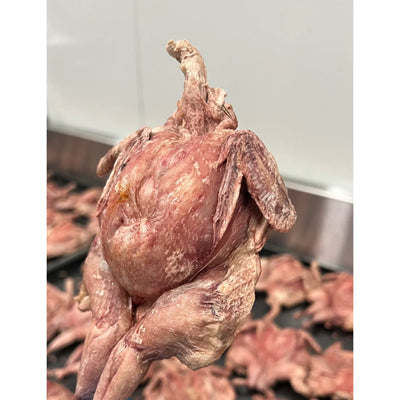Freezy Paws - Freeze-Dried Raw Whole Quail 1 pc