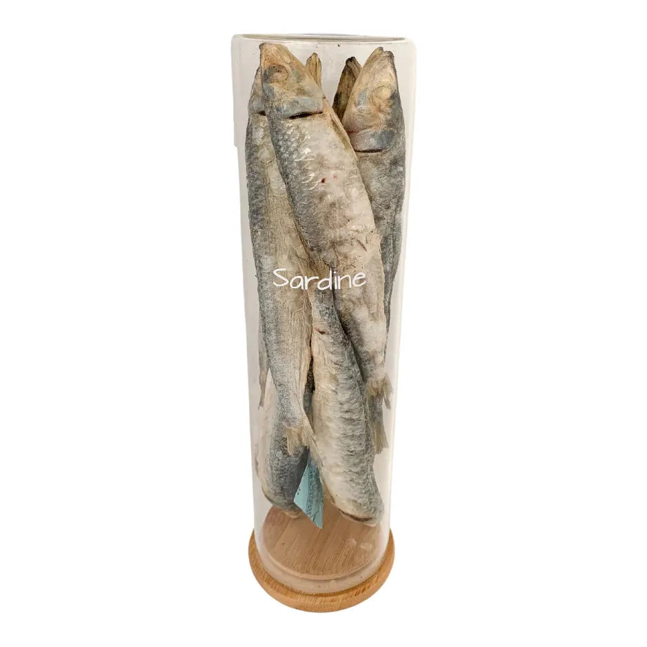 Freezy Paws - Freeze-Dried Sardine Raw Treats 80g