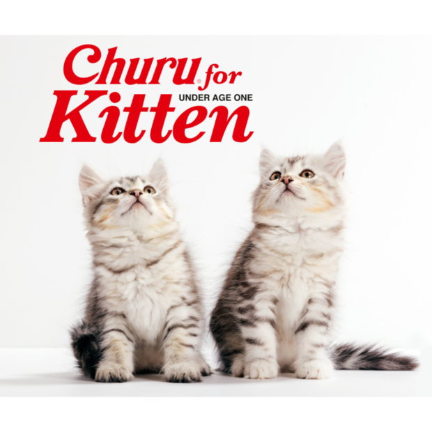 INABA Cat Churu Tuna Recipe Kitten Cat Treats 56G
