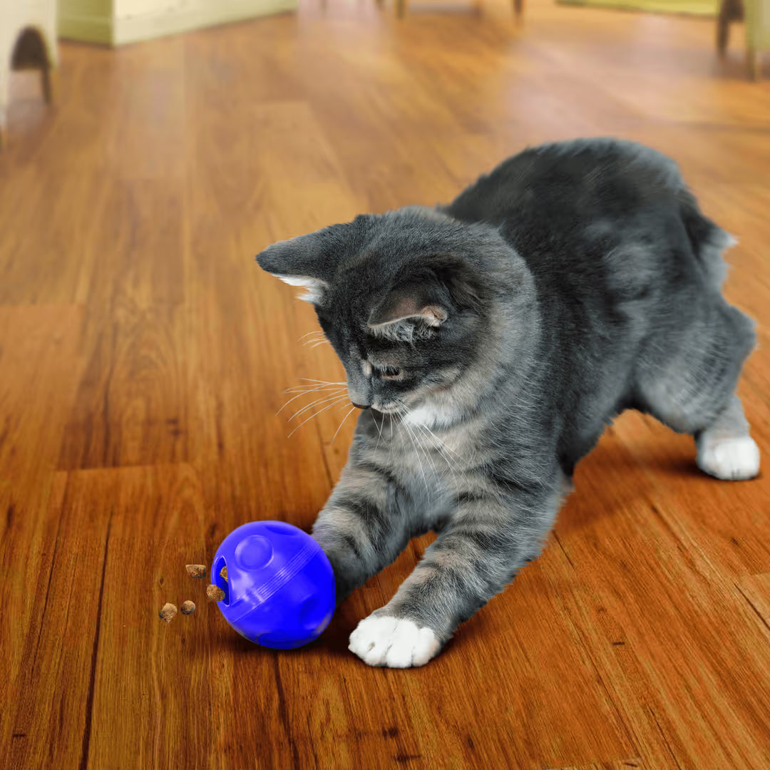 KONG Cat Toys Treat Dispensing Ball