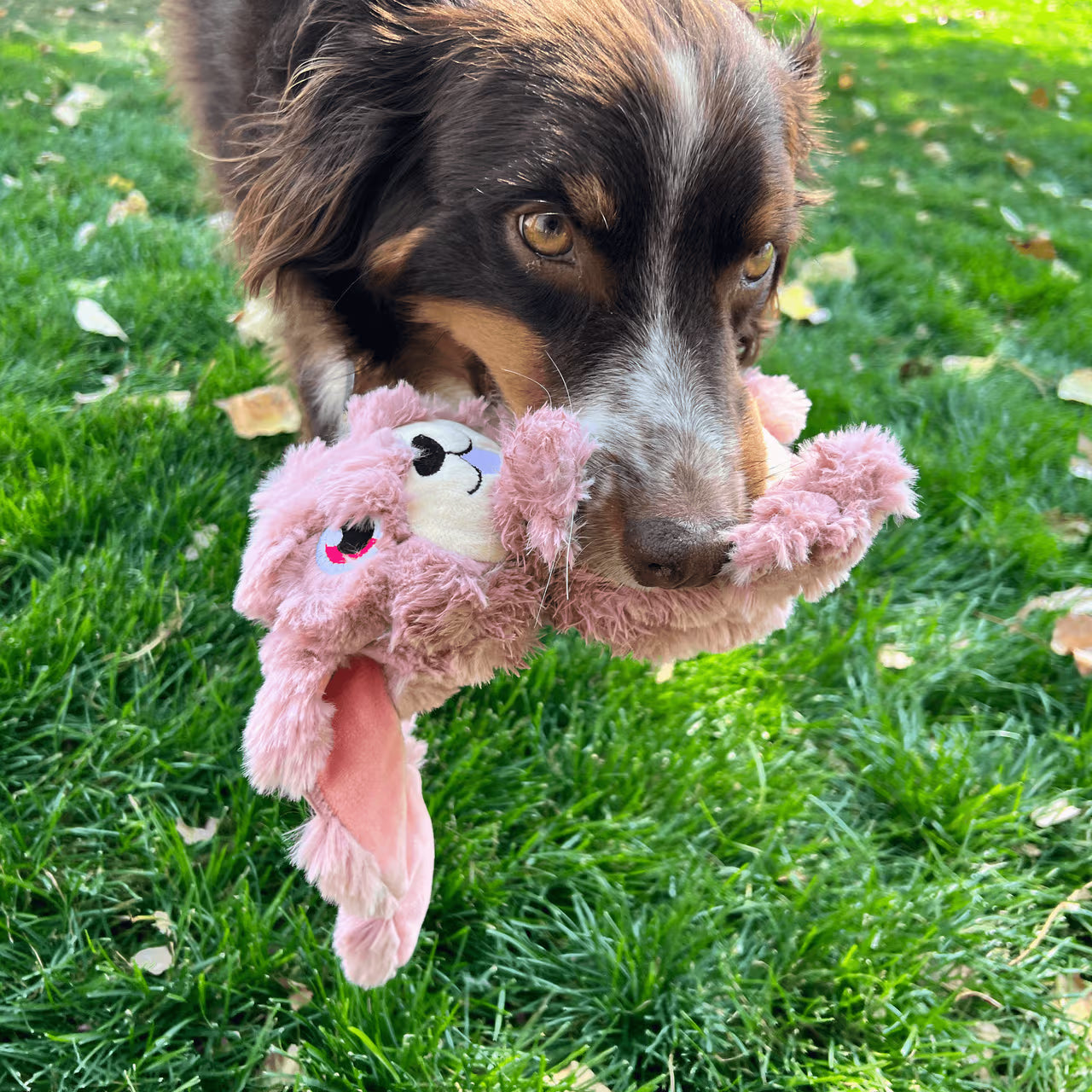 KONG Dog Toy Scrumplez Bunny Medium