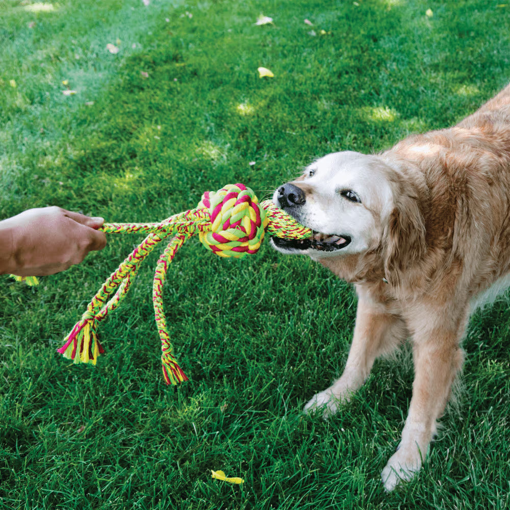 KONG Dog Toy Wubba Weaves With Rope Assorted Colours
