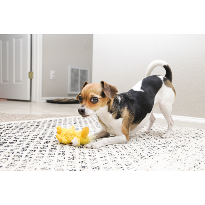 KONG Dog Toy Dr. Noyz Plush Duck Small
