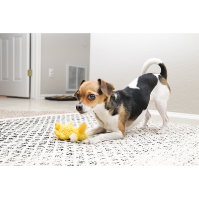 KONG Dog Toy Dr. Noyz Plush Duck Small