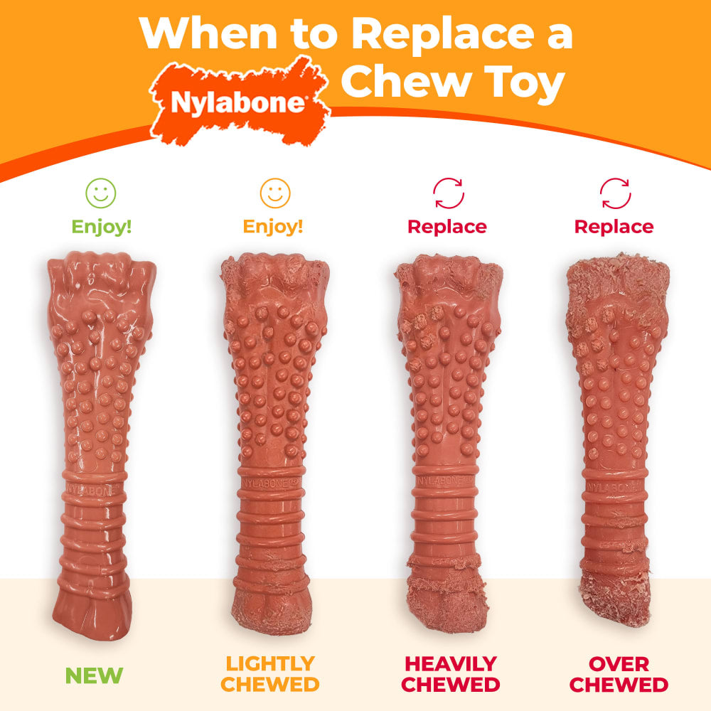 Nylabone Dog Chew Toy Power Chew Basted Blast Original & Textured Bone