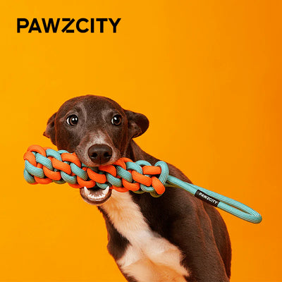 PAWZCITY Interactive Rope Stick With Loop - Rockmelon