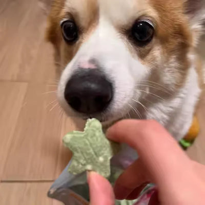 Ranova Freeze Dried Dog Teeth Cleaning Treats - Dental Star 45g