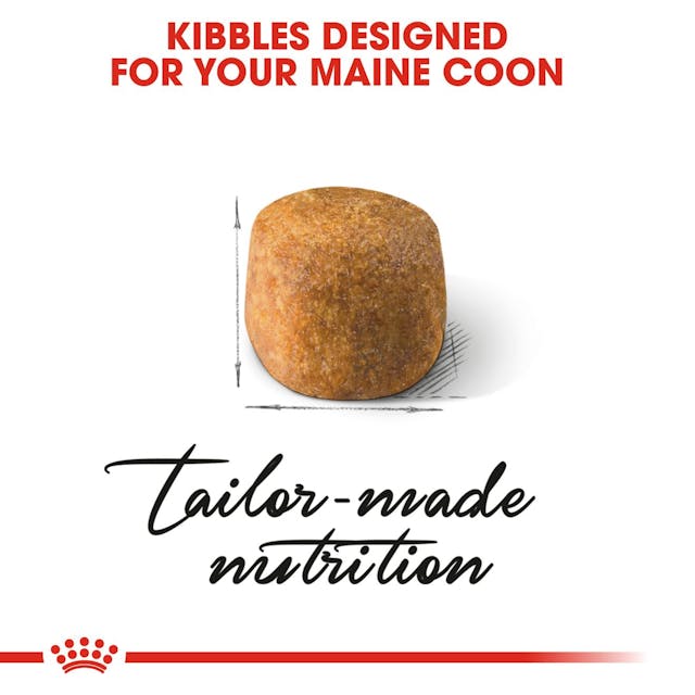 ROYAL CANIN Maine Coon Adult Dry Cat Food