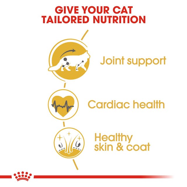 ROYAL CANIN Maine Coon Adult Dry Cat Food