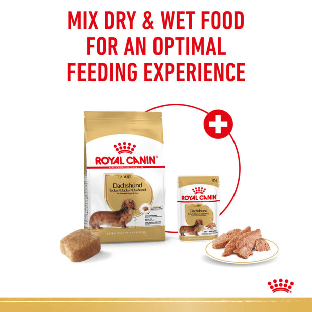 ROYAL CANIN Dachshund Loaf Adult Wet Dog Food 85g x 12