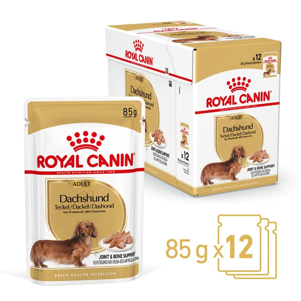 ROYAL CANIN Dachshund Loaf Adult Wet Dog Food 85g x 12