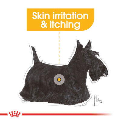 ROYAL CANIN Adult Dry Dog Food Mini Dermacomfort 3Kg