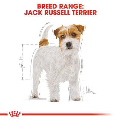 ROYAL CANIN Jack Russell Terrier Adult Dog Dry Food