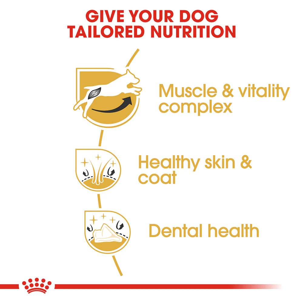 ROYAL CANIN Jack Russell Terrier Adult Dog Dry Food