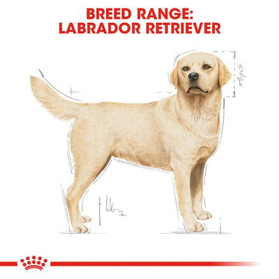 ROYAL CANIN Labrador Retriever Adult Dog Dry Food