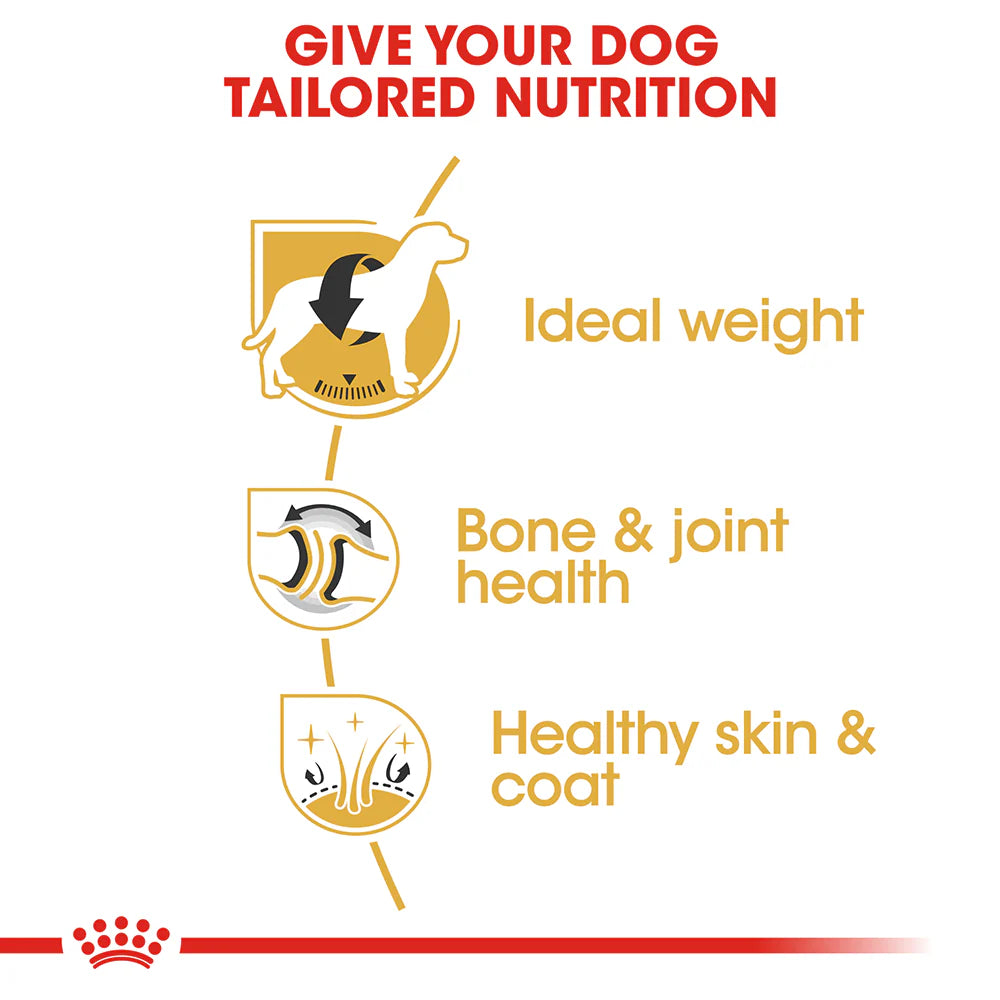 ROYAL CANIN Labrador Retriever Adult Dog Dry Food