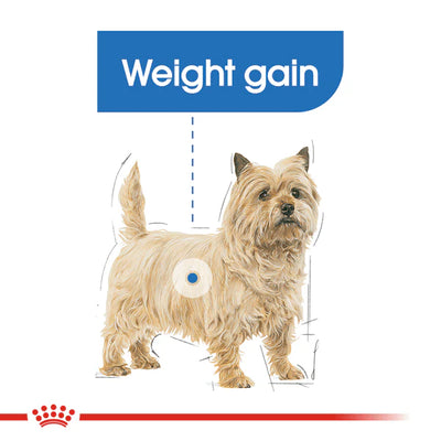 ROYAL CANIN Light Weight Care Loaf Adult Wet Dog Food 85g x 12